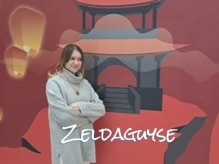 Zeldaguyse