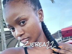 Ziebea22